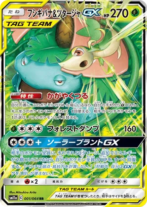 Venusaur & Snivy-GX
